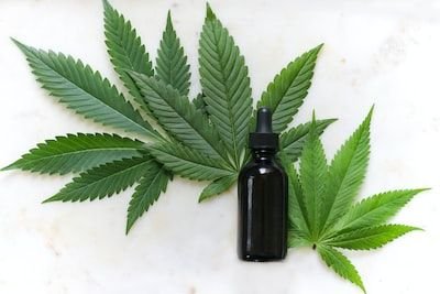 Fleurs de CBD : Comment en consommer ?